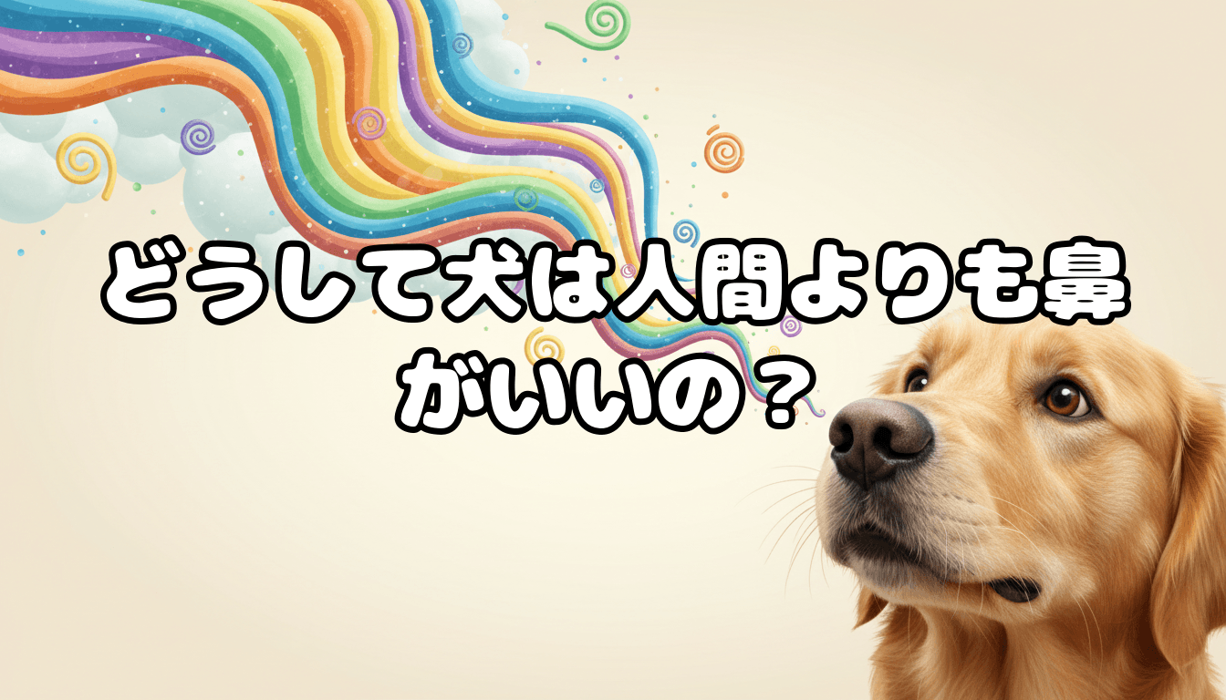 どうして犬は人間よりも鼻がいいの?
