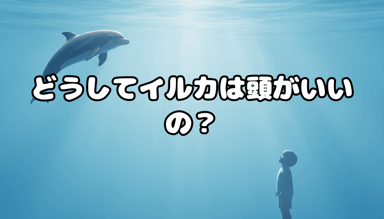 どうしてイルカは頭がいいの?
