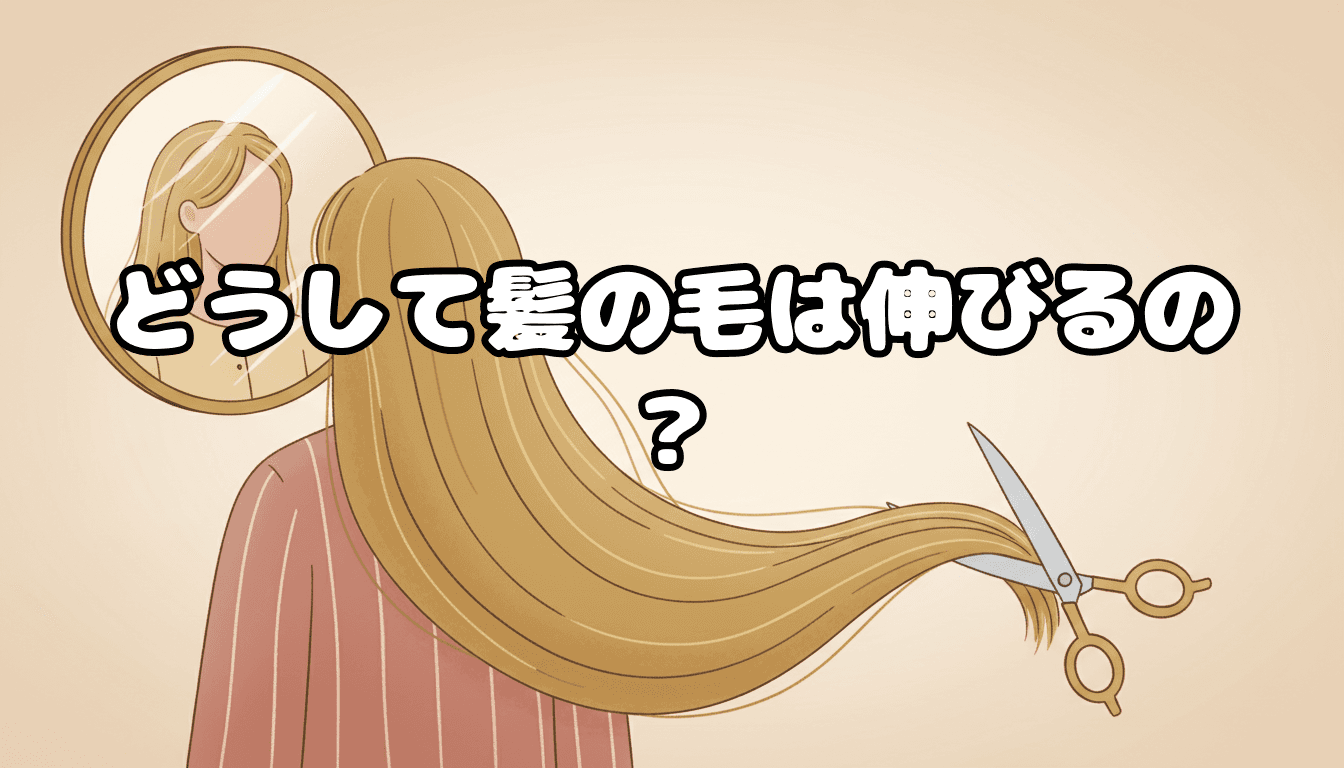 どうして髪の毛は伸びるの?