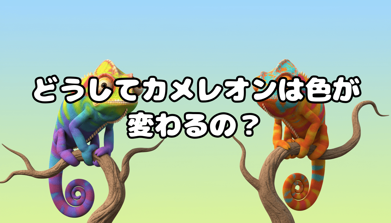 どうしてカメレオンは色が変わるの?