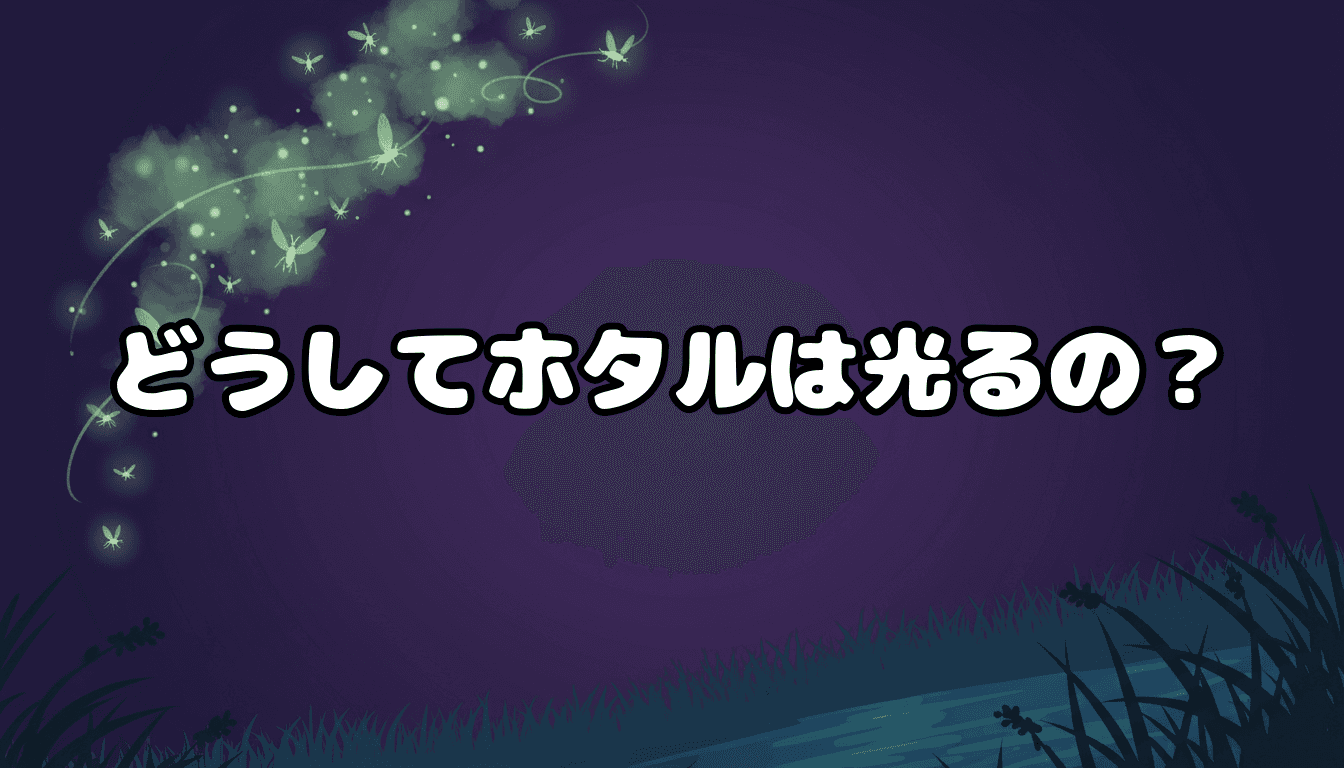 どうしてホタルは光るの?