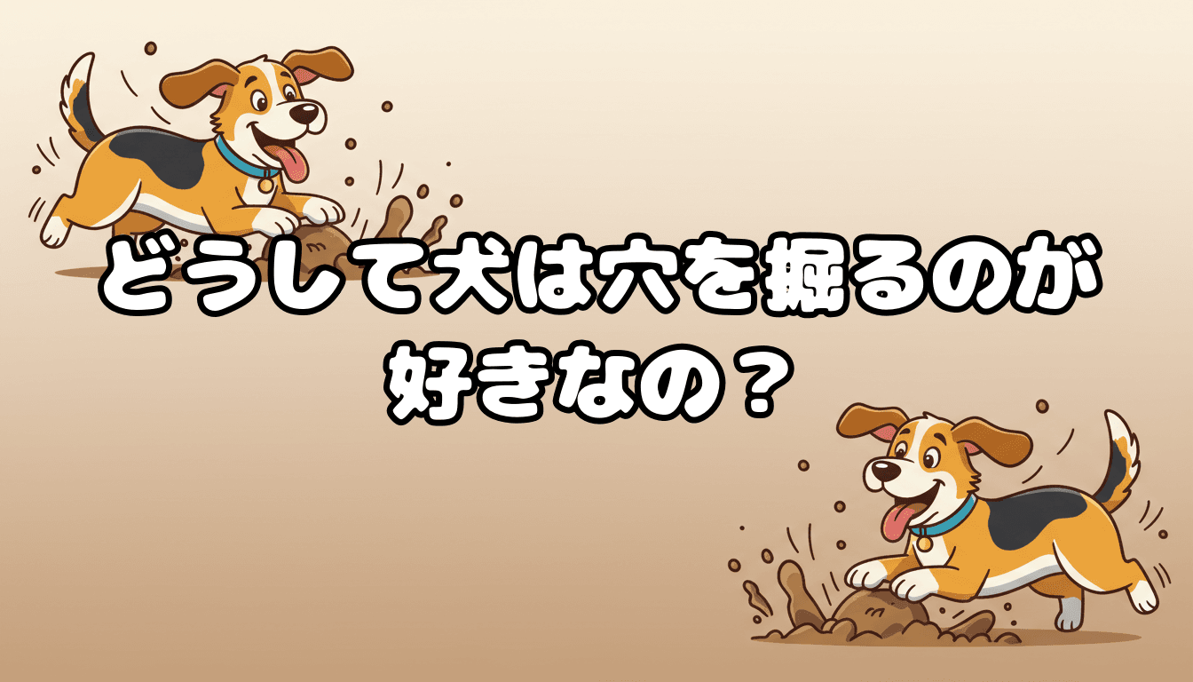 どうして犬は穴を掘るのが好きなの?