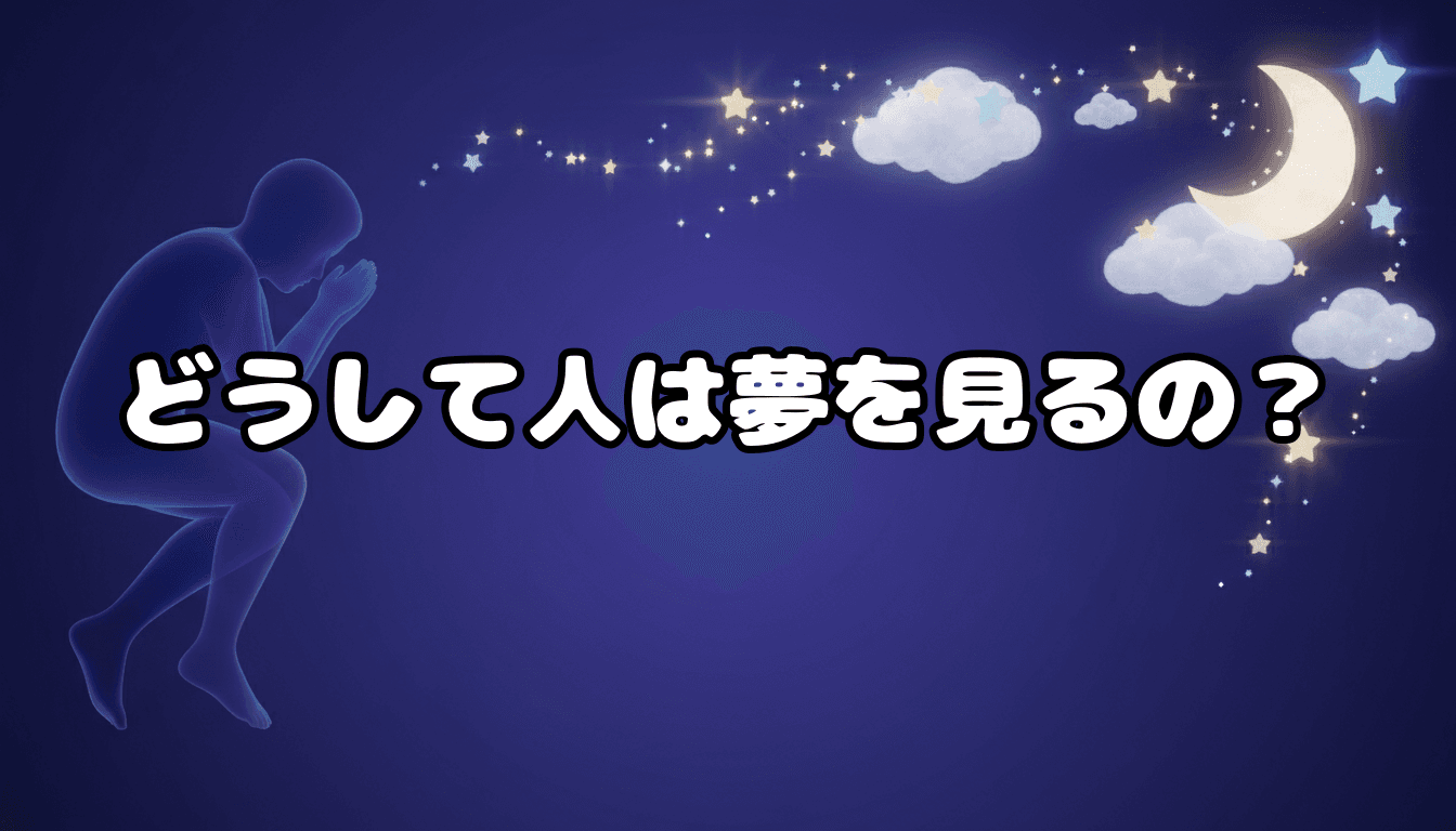どうして人は夢を見るの?