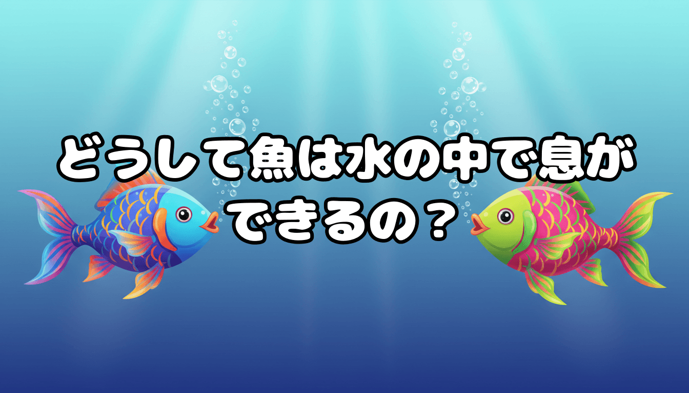 どうして魚は水の中で息ができるの?