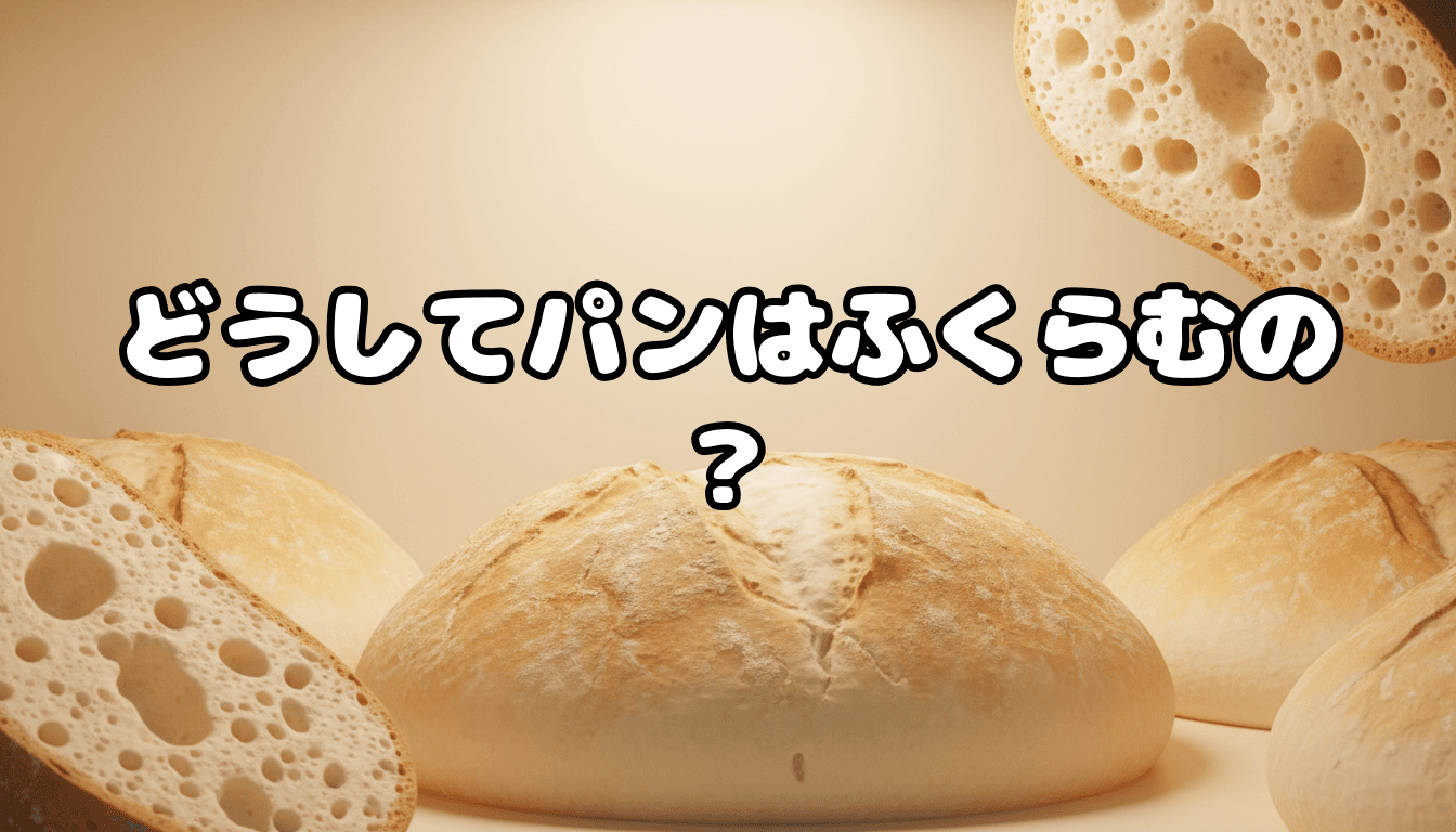 どうしてパンはふくらむの?