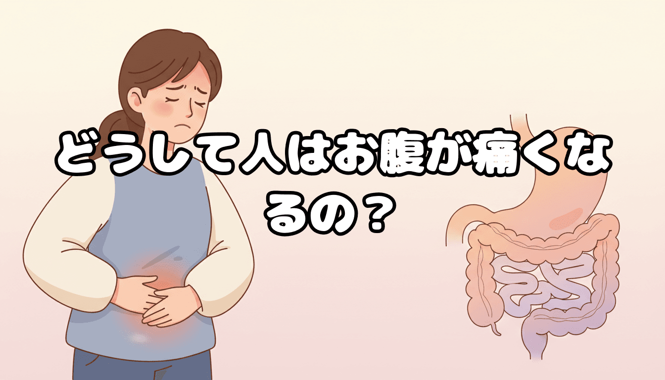 どうして人はお腹が痛くなるの?