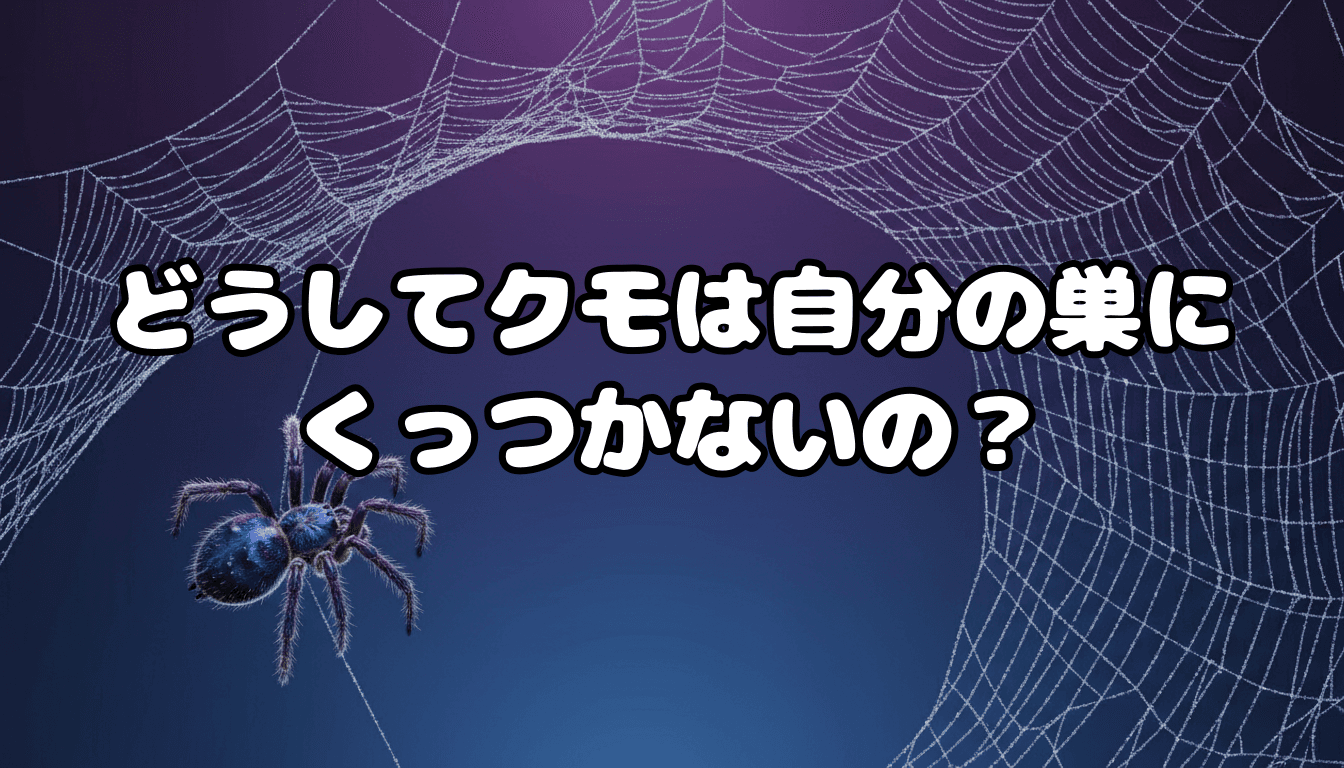 どうしてクモは自分の巣にくっつかないの?